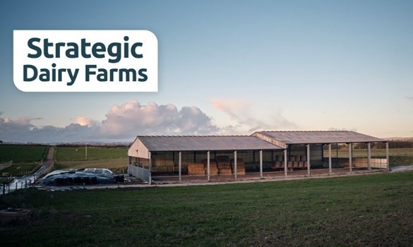 An open-sided agricultural shed storing hay and silage at Caulston Farm.